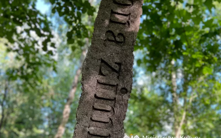 Podróż z Herbertem